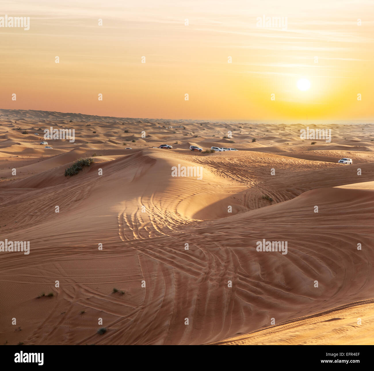 Puesta de sol en el desierto. Foto de stock