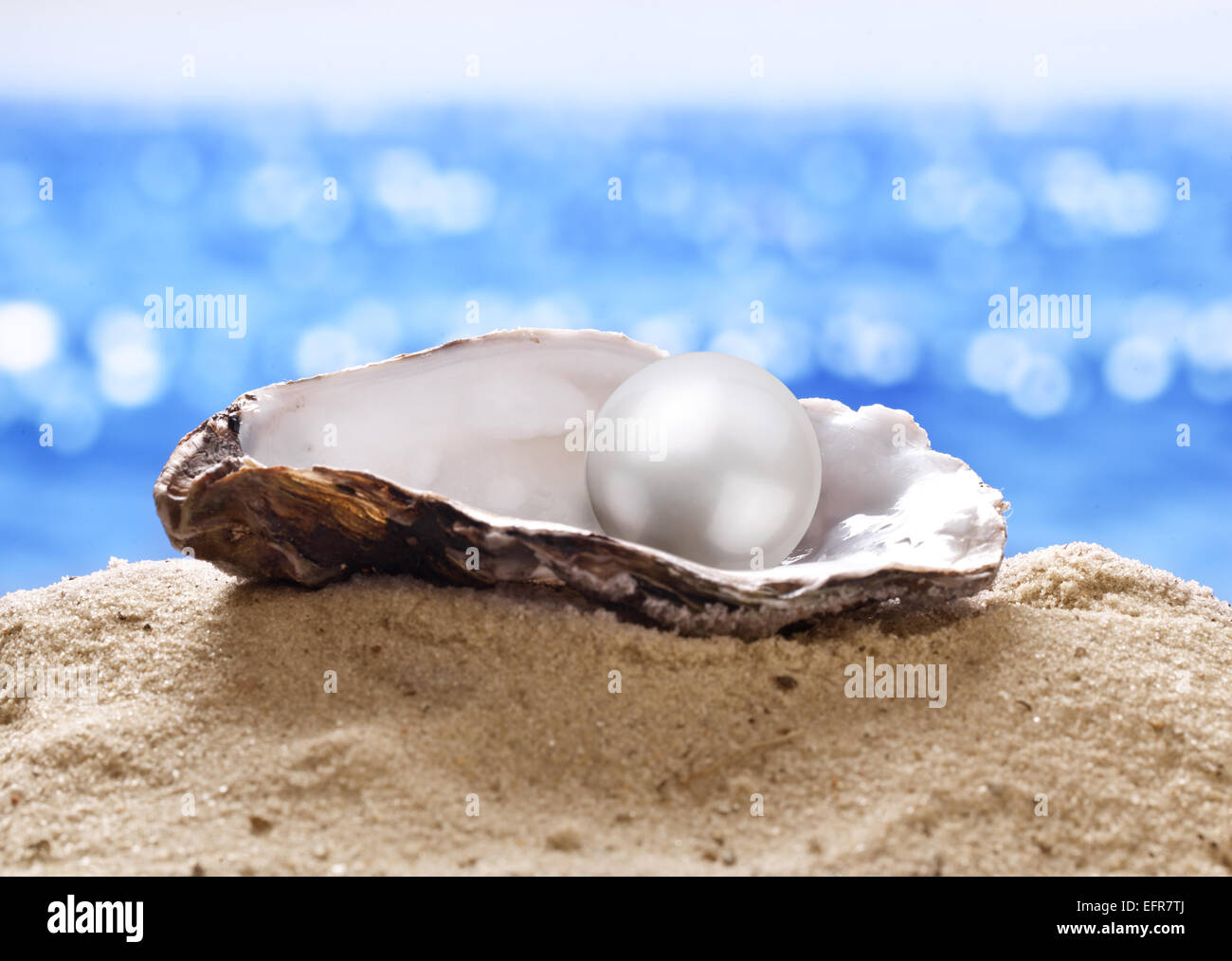 Shell, con una perla en un mar de arena. Foto de stock