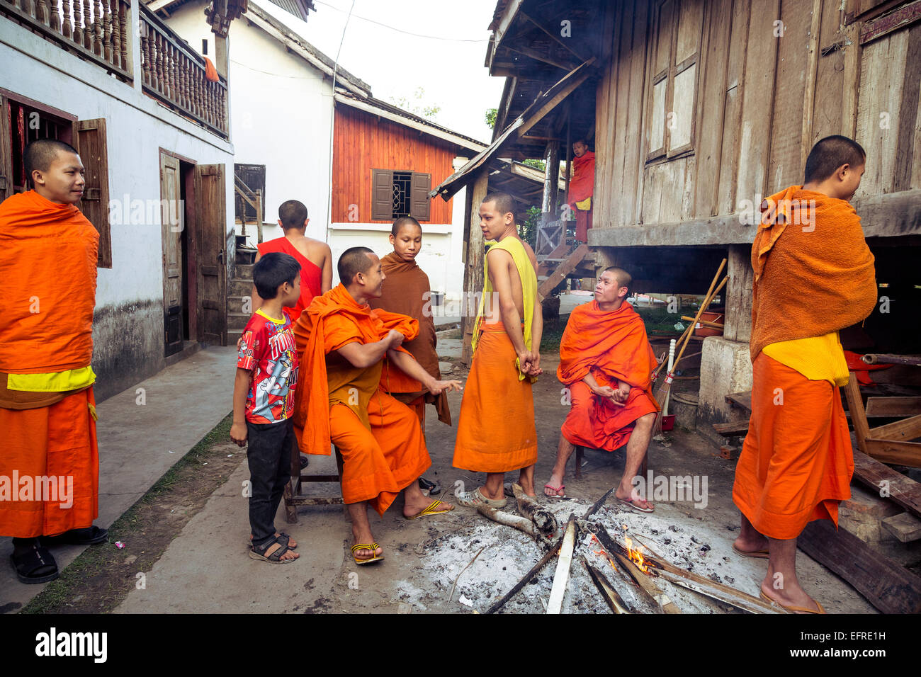 Los jóvenes monjes budistas, en Luang Prabang, Laos. Foto de stock