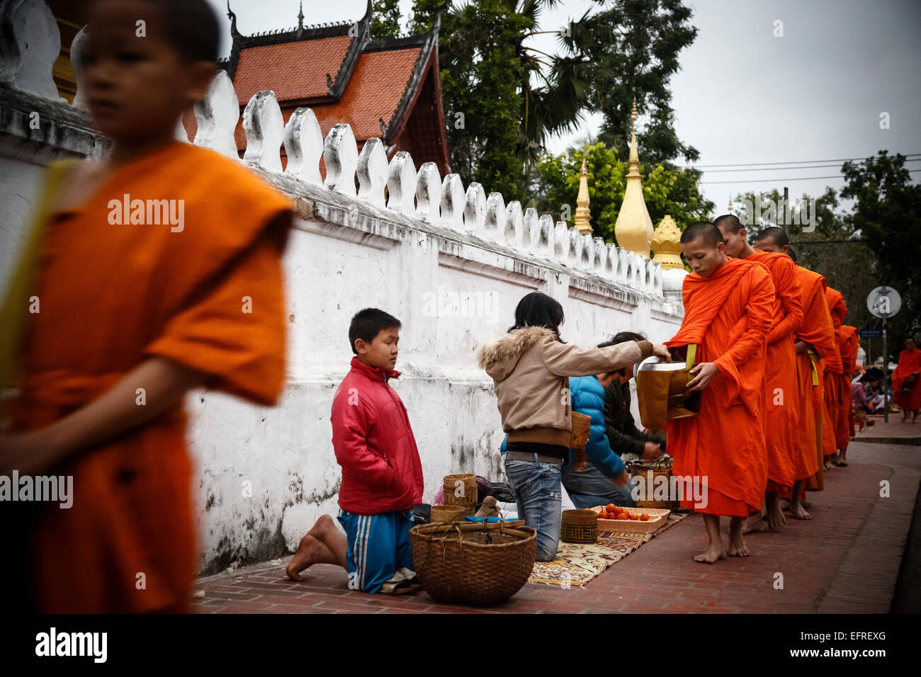Los monjes recolectando limosnas al amanecer, en Luang Prabang, Laos. Foto de stock