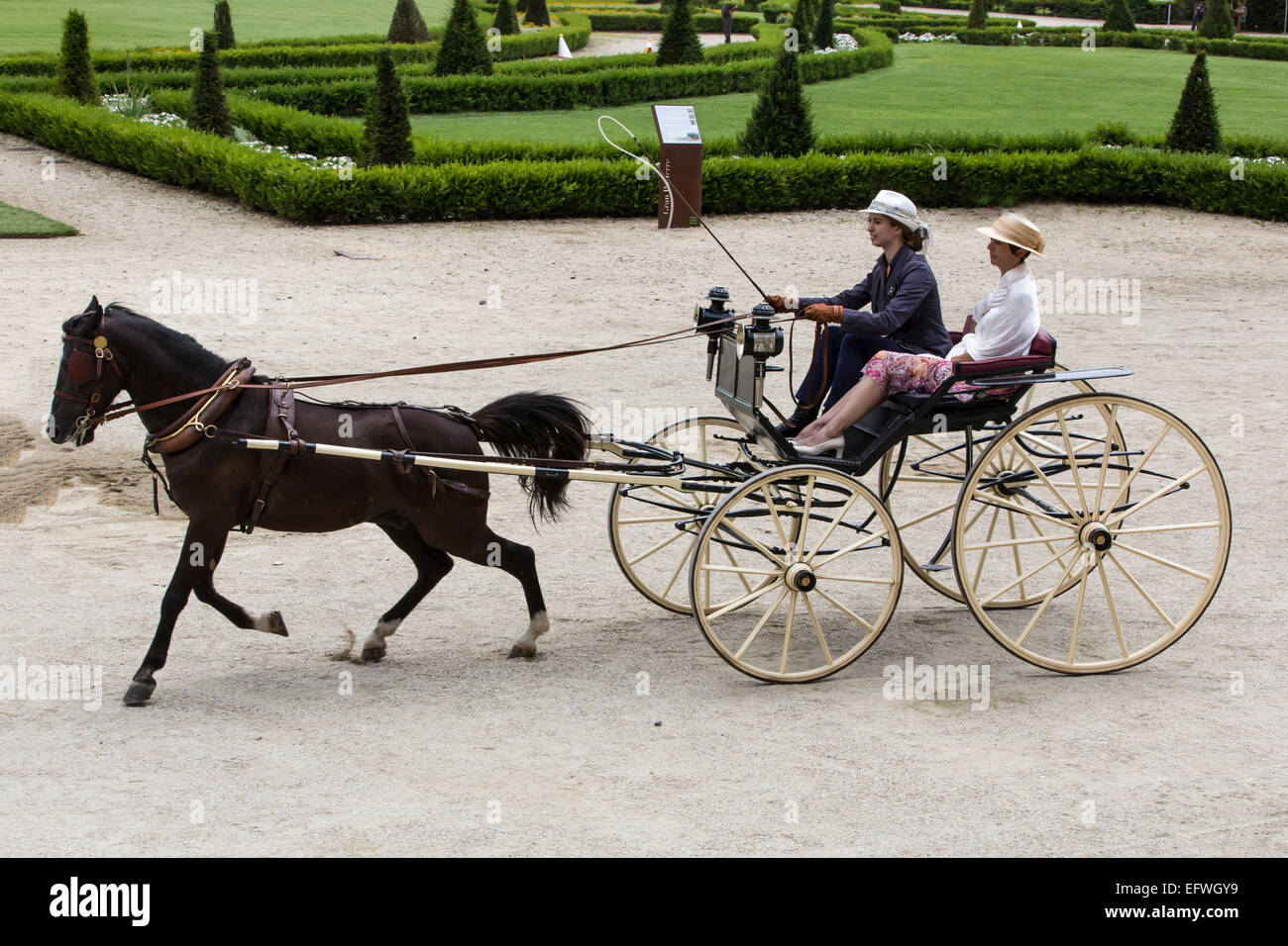Concurso internacional de carruajes típicos 'La Venaria Reale', carro: Americane , a caballo: single holandés, Italia Foto de stock