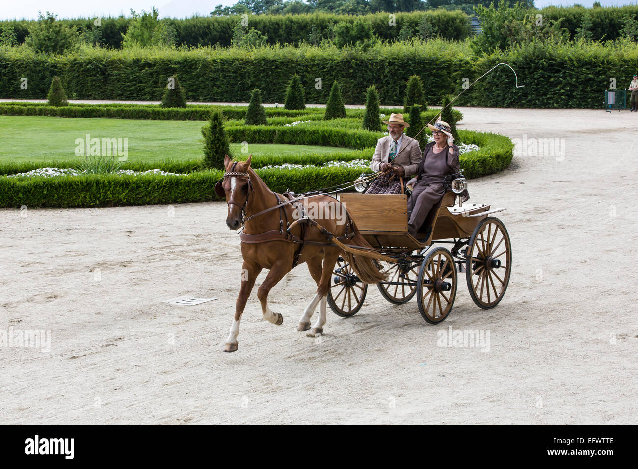 Concurso internacional de carruajes típicos 'La Venaria Reale', carro: Kloppbreak, caballo: solo Franches Montagnes Foto de stock