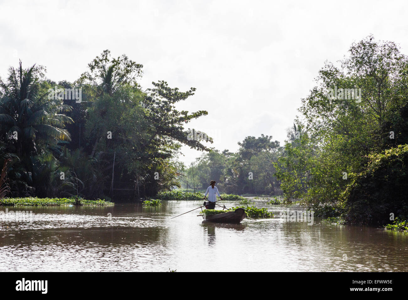 Hombre remando un bote en el Delta del Mekong, Can Tho, Vietnam Foto de stock