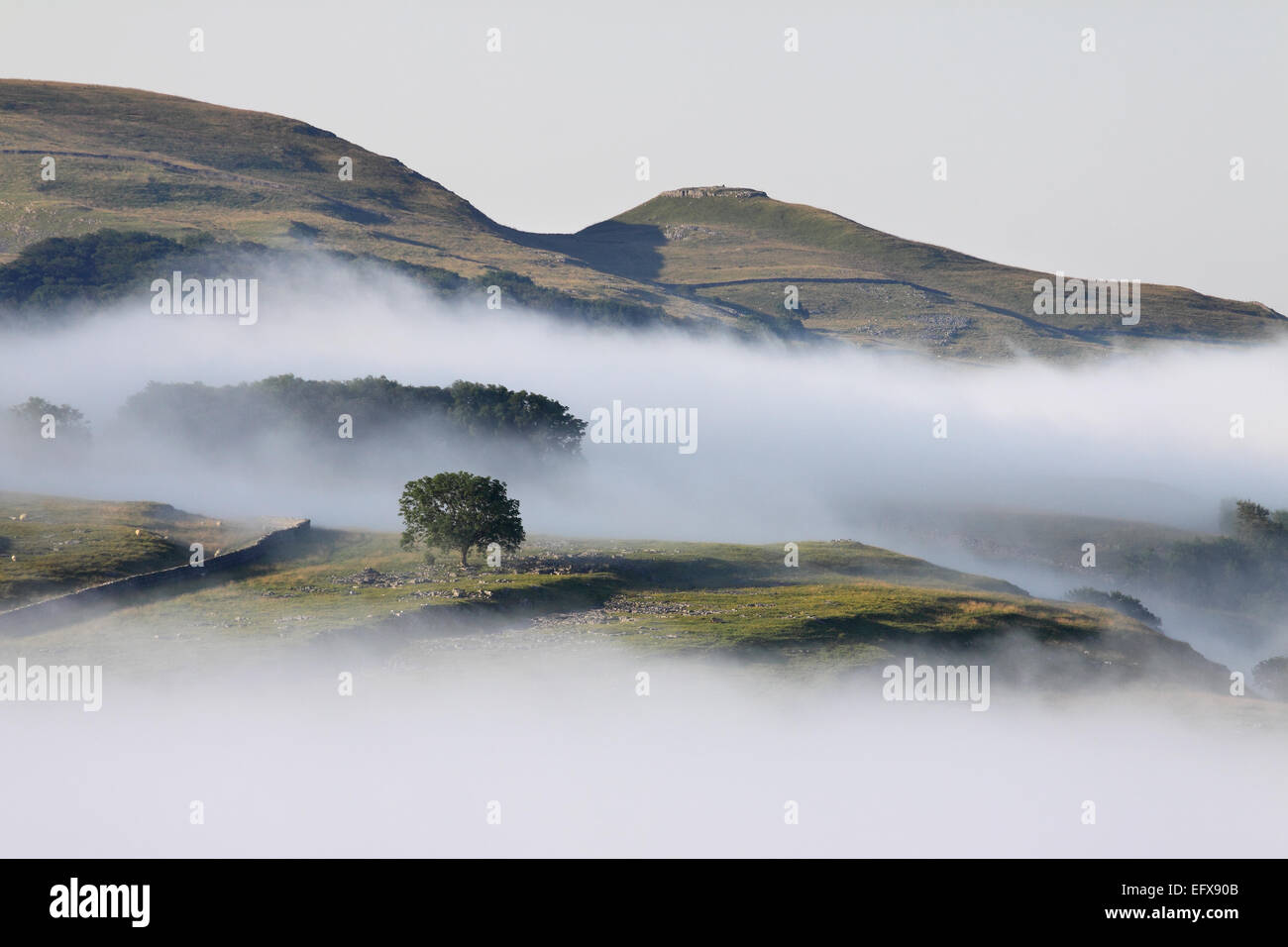 Líneas de neblina de los valles de Yorkshire Dales, con miras hacia la Warrendale Knotts cerca de Settle Foto de stock