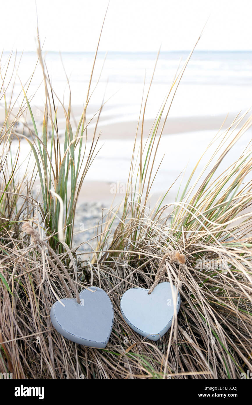 Dos azules de madera corazón amor en las dunas en una playa en verano  irlandés Fotografía de stock - Alamy