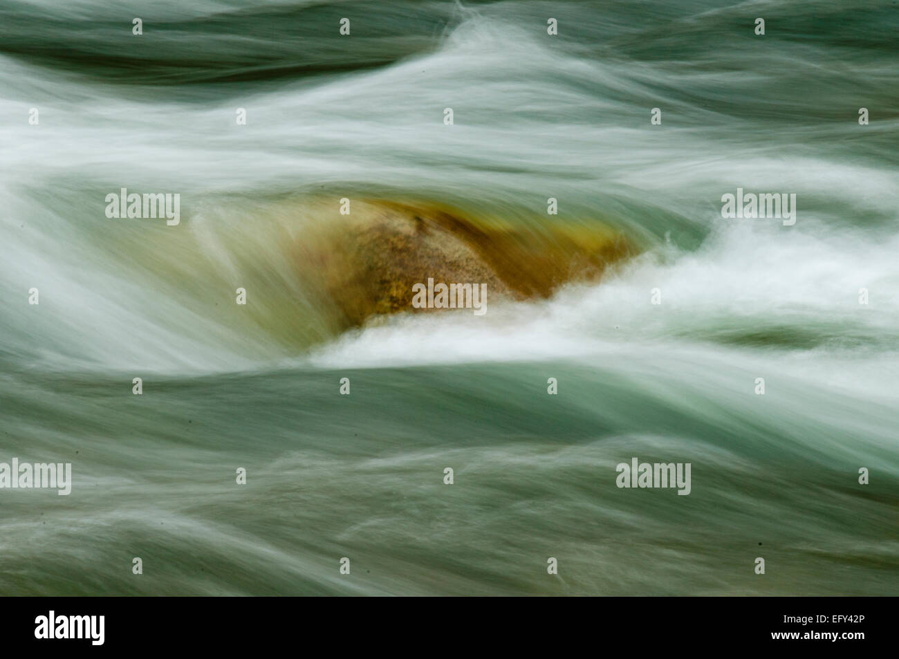 El agua que fluye a través de roca en el centro de la horquilla del río de salmones en el Frank Church - Río de No Retorno desierto Idaho Foto de stock