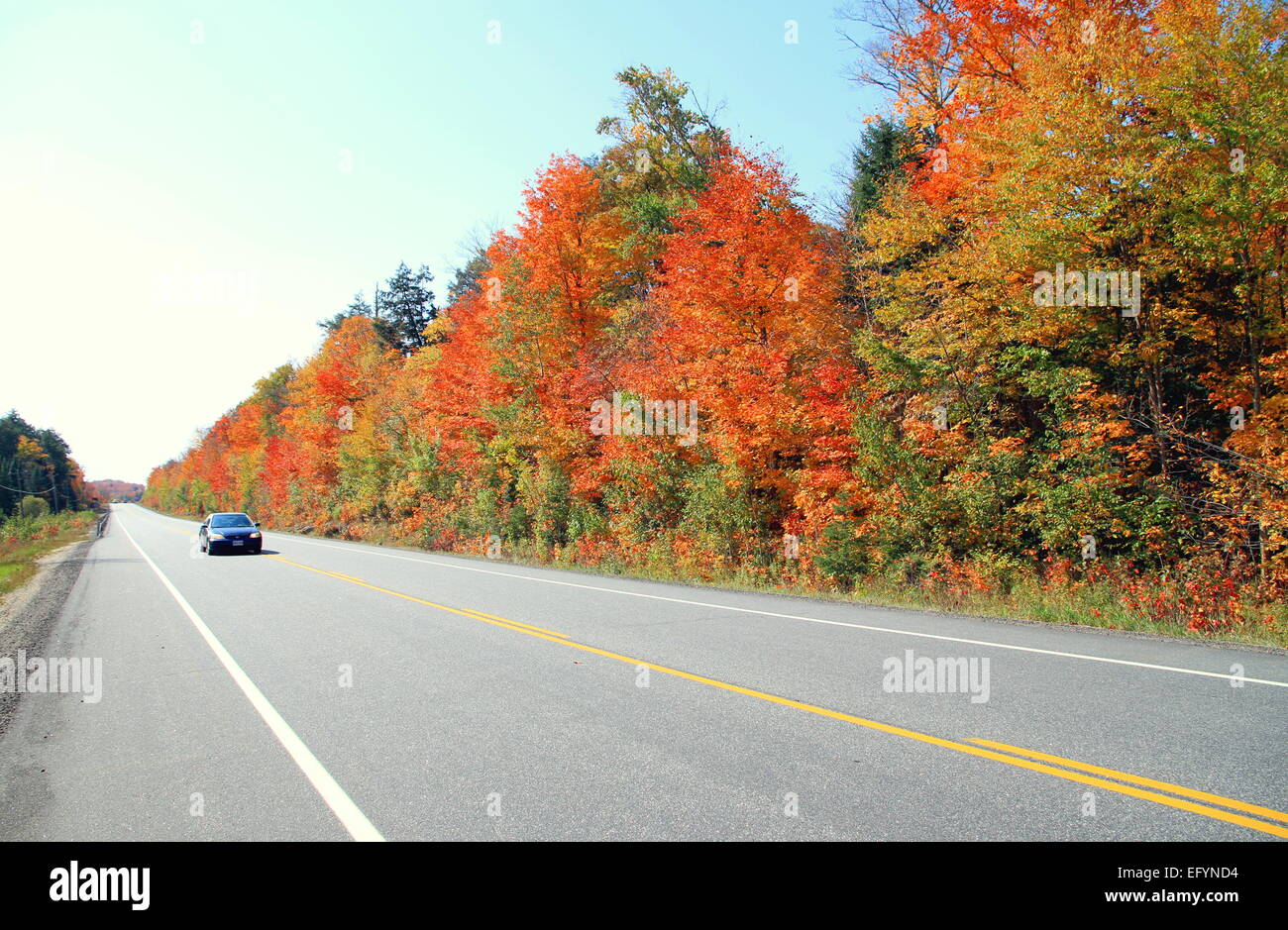 La autopista pasando por el Parque Provincial Algonquin en Ontario, Canadá Foto de stock