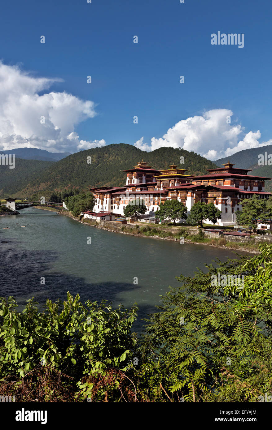 Bután - Punakha Dzong (oficinas de gobierno y el monasterio), fue la capital y sede del gobierno hasta mediados de los 1950's. Foto de stock