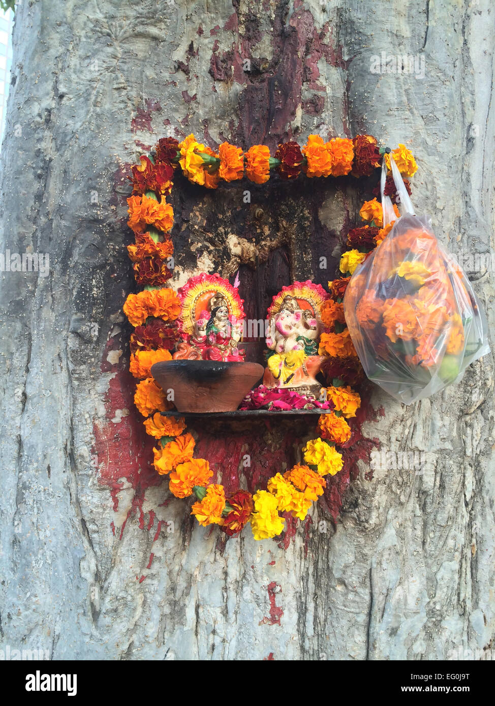 La India, Delhi, pequeña capilla hindú clavado al tronco de árbol Foto de stock