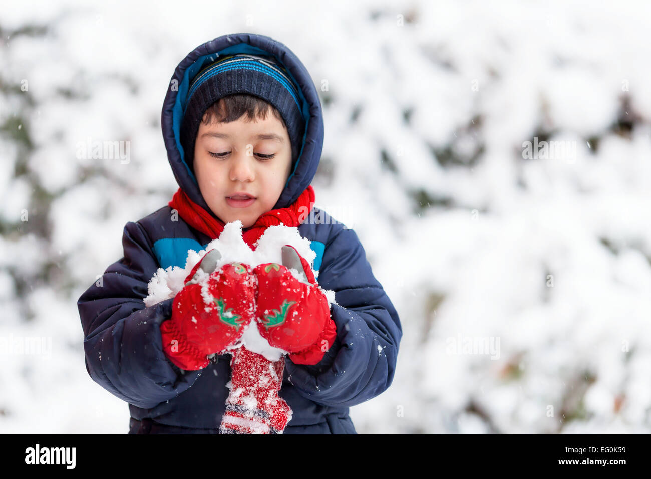 Bulgaria, Sofía, joven (4-5) sosteniendo la nieve Foto de stock