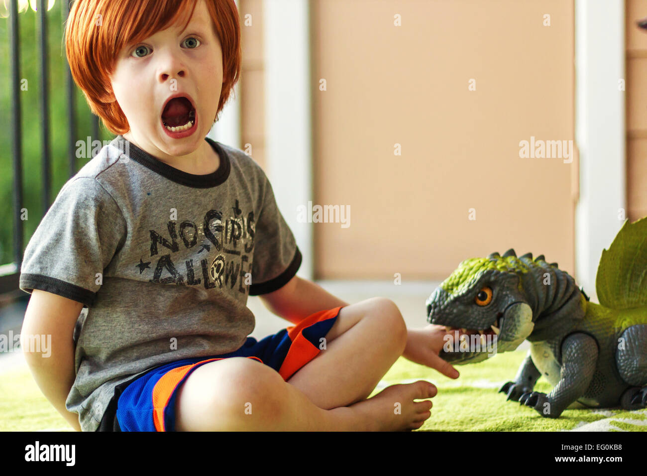 Boy a jugar con juguetes, pretendiendo dinosaurio ha sido mordido Foto de stock