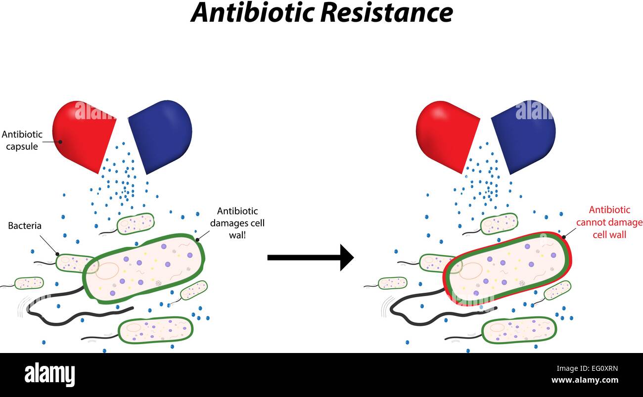 La resistencia a los antibióticos Ilustración del Vector