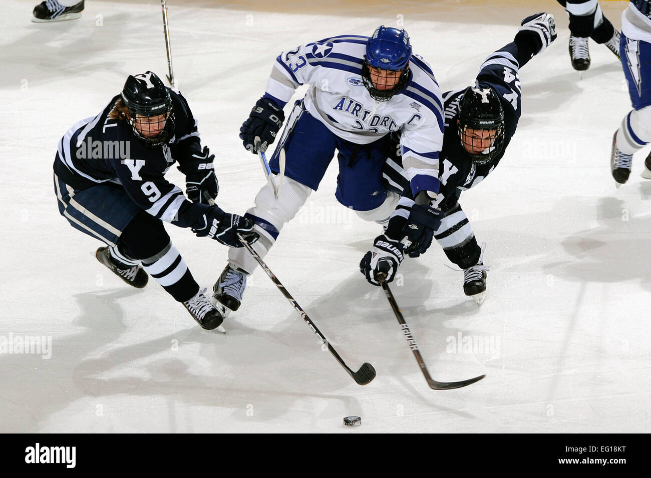 La Academia de la Fuerza Aérea de los EE.UU. Scott Junior Mathis batallas con Yale, Brian O'Neill y Chris Cahill en la Academia de Cadetes Ice Arena, 14 de noviembre de 2010, en Colorado Springs, Colorado. Los Halcones, trailing 3-0 temprano en el tercer período, 4 goles para derrotar a los Bulldogs 4-3 delante de una muchedumbre de venta. Mike Kaplan Foto de stock