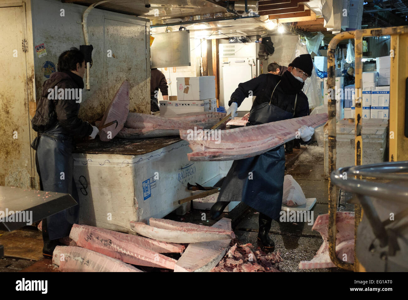 Mercado de Pescado de Tsukiji, en Tokio, Japón. El mayorista más grande mercado de pescados y mariscos en el mundo. El mercado maneja más de 400 tipos de pescado y mariscos a partir de diminutas sardinas y atún a la Ballena. Más de 700.000 toneladas métricas de mariscos son tratadas cada año con un total de unos 6.000 millones de dólares. Unos 60.000 trabajadores están empleados en el mercado. Foto de stock