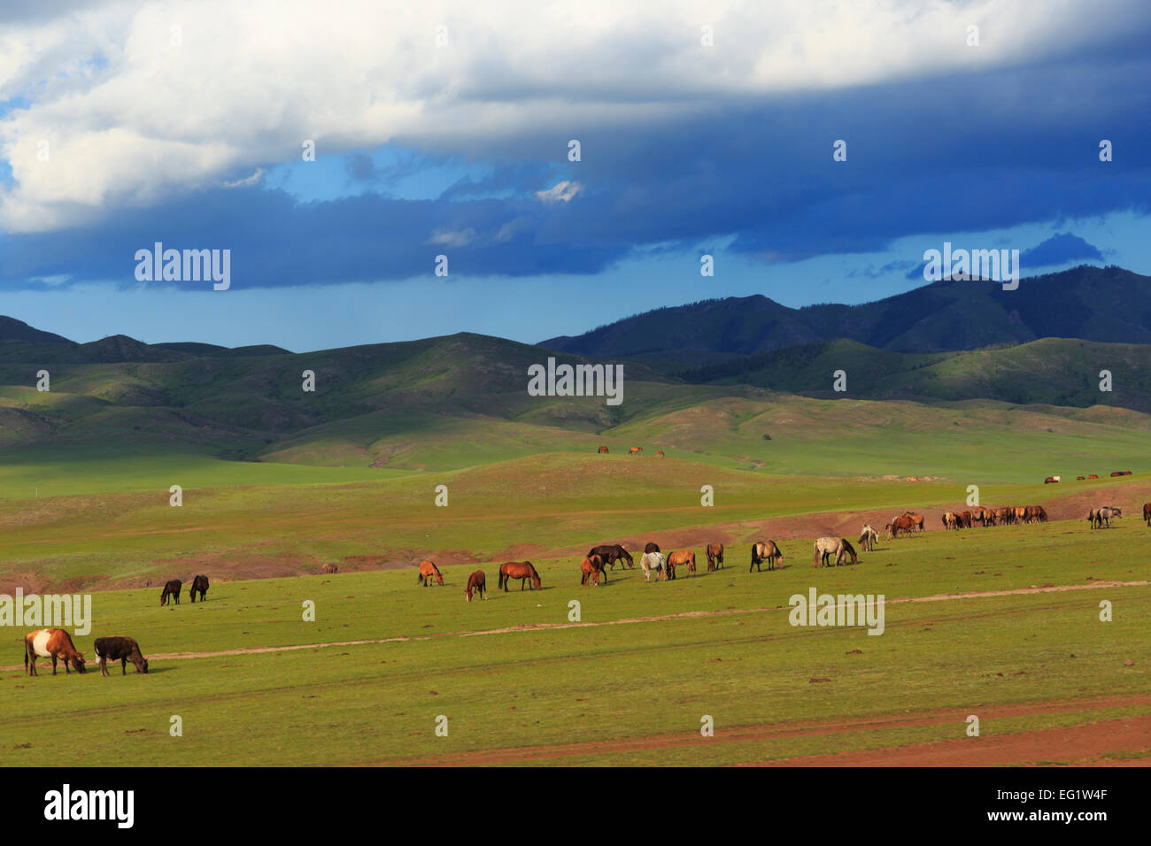 Paisaje cerca de Bulgan, Mongolia Foto de stock