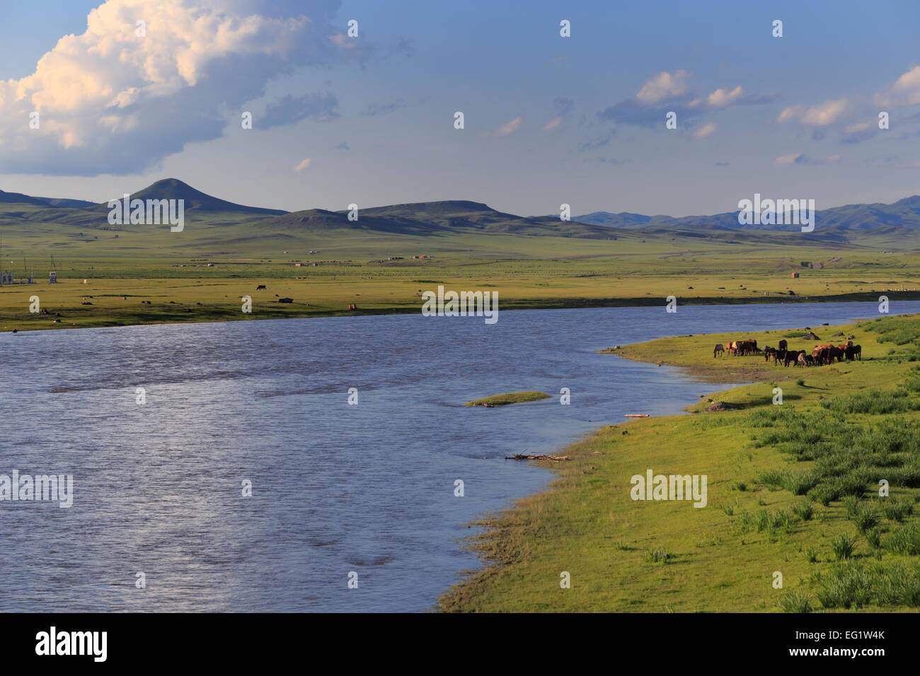 Río Orkhon, la provincia de Bulgan, Mongolia Foto de stock