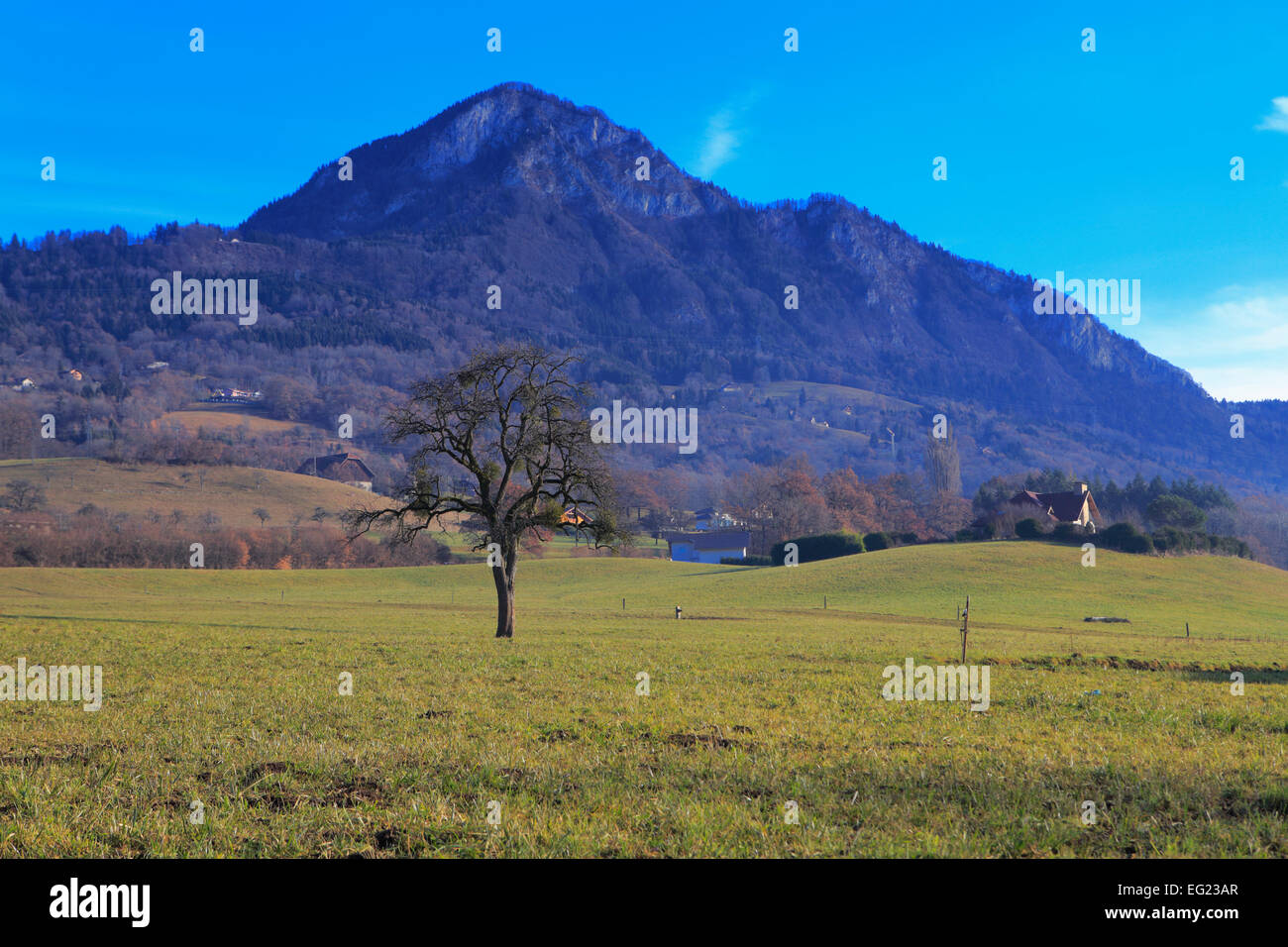 Arves Valley, cerca de Thyez, Haute-Savoie, Rhône-Alpes, Francia Foto de stock