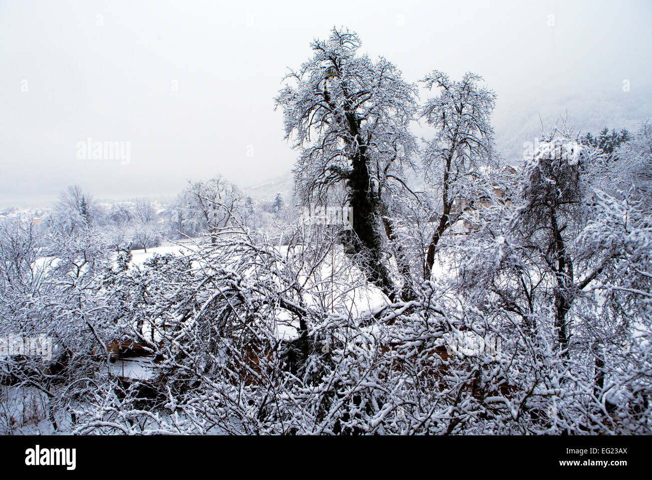 Arves Valley, cerca de Thyez, Haute-Savoie, Rhône-Alpes, Francia Foto de stock