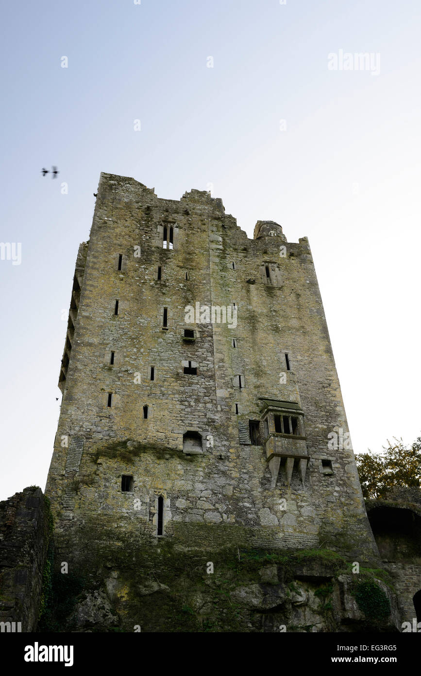 Pared norte del castillo Blarney cork famosos jardines Irlanda rey irlandés de Munster castillos medievales RM Irlanda Foto de stock