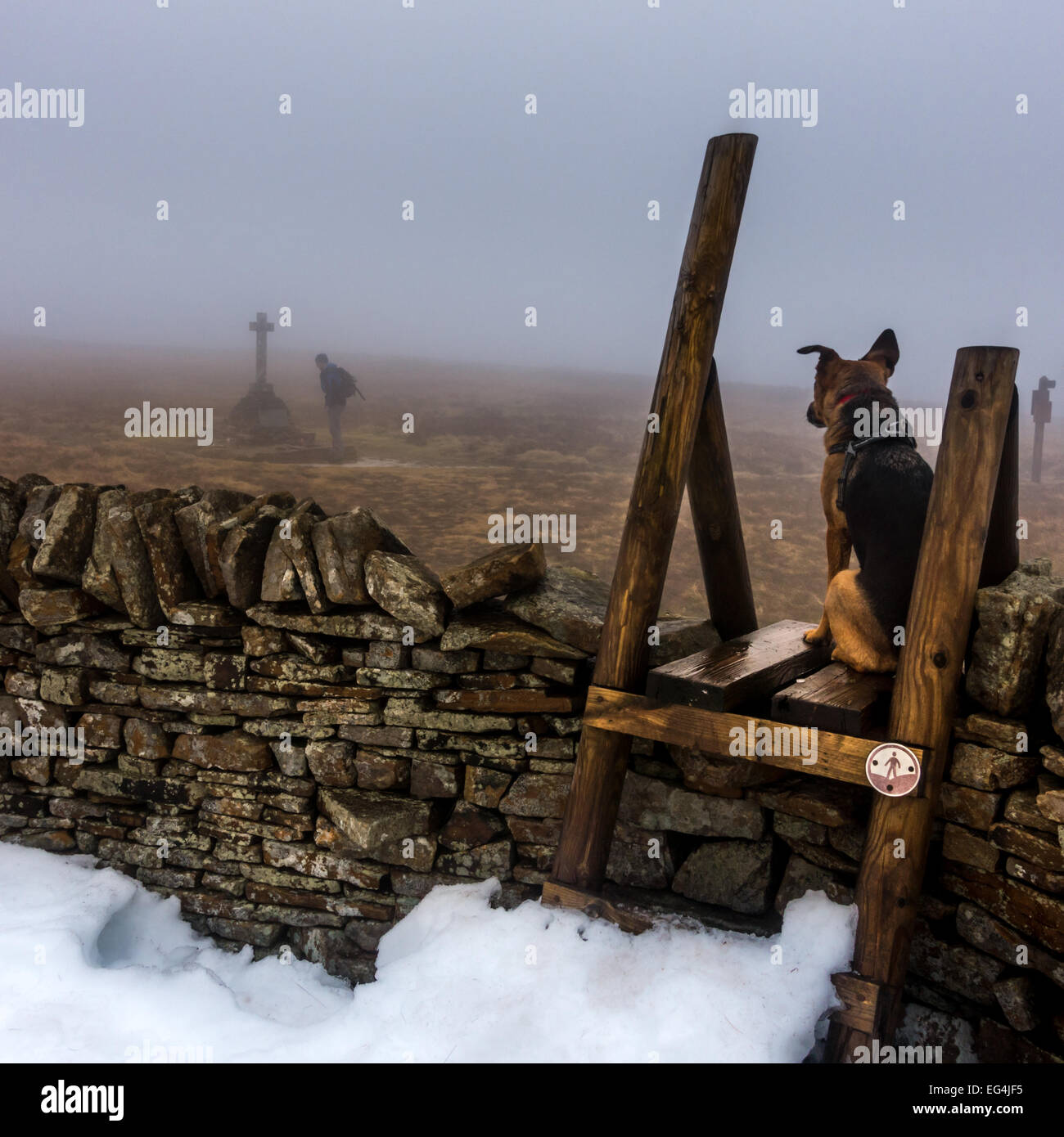 Hombre mirando War Memorial en Buckden Pike en invierno con perro mascota mirando desde stile, Yorkshire Dales, North Yorkshire, Inglaterra, Reino Unido. Foto de stock