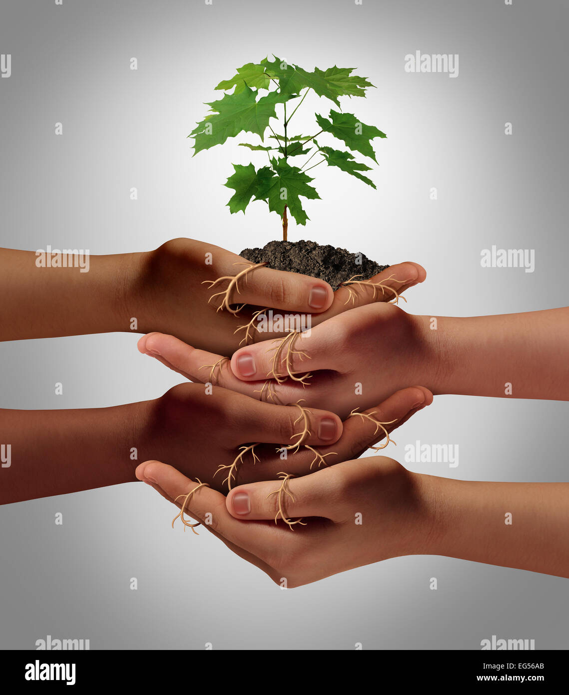 Concepto de cooperación comunitaria y social inversión crowdfunding como símbolo de un grupo diverso de manos a nutrir un retoño ingenio de árbol Foto de stock
