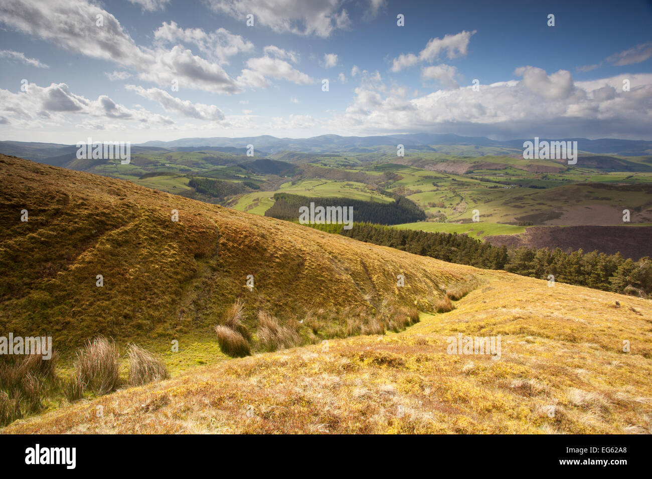 Vista del paisaje agrícola de montaña en las montañas Cambrian, parte del proyecto Living Landscape Pumlumon, Ceredigion, Gales, mayo de 2012. Foto de stock