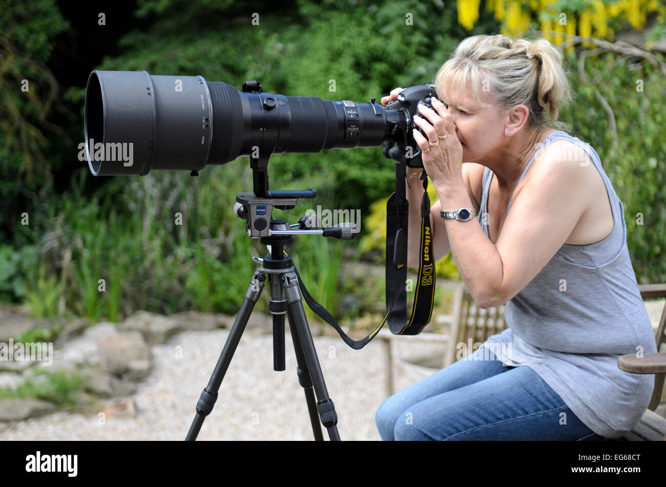 Mujer con un teleobjetivo de 600 mm en una cámara Nikon D3 Release disponible Foto de stock