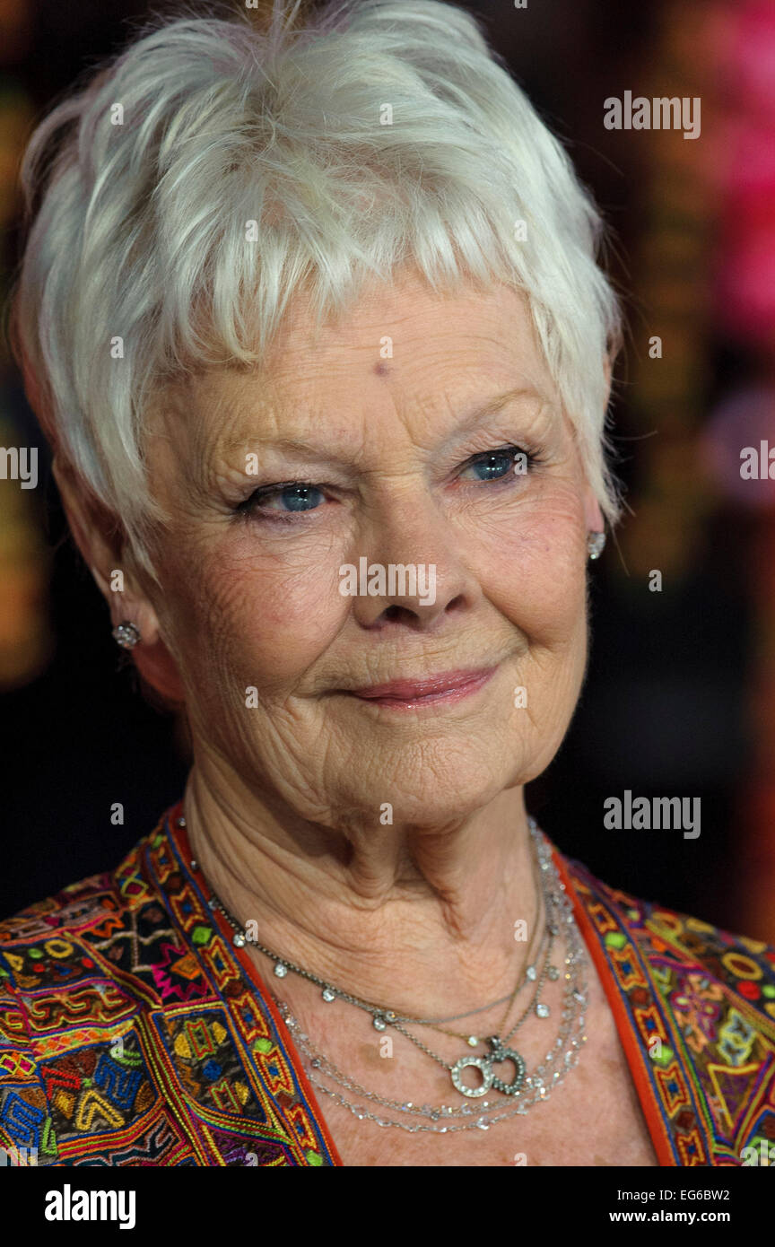 Londres, Reino Unido. 17 Feb, 2015. Dame Judi Dench asiste a la Royal Film Performance: el estreno mundial de la segunda mejor exótico hotel Marigold en 17/02/2015 en el Odeon de Leicester Square, Londres. Crédito: Julie Edwards/Alamy Live News Foto de stock