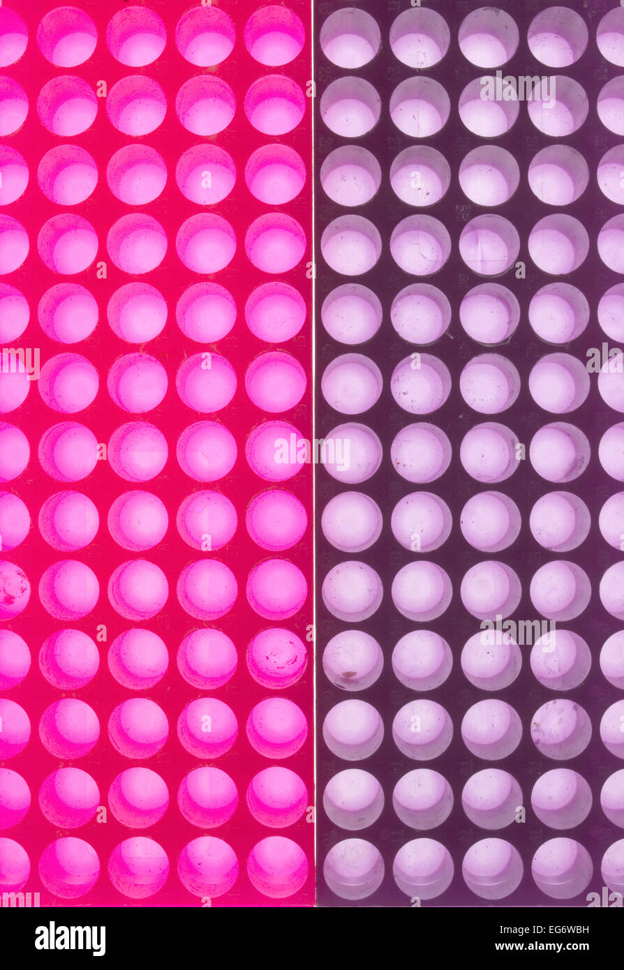 Placas de cultivo celular Foto de stock