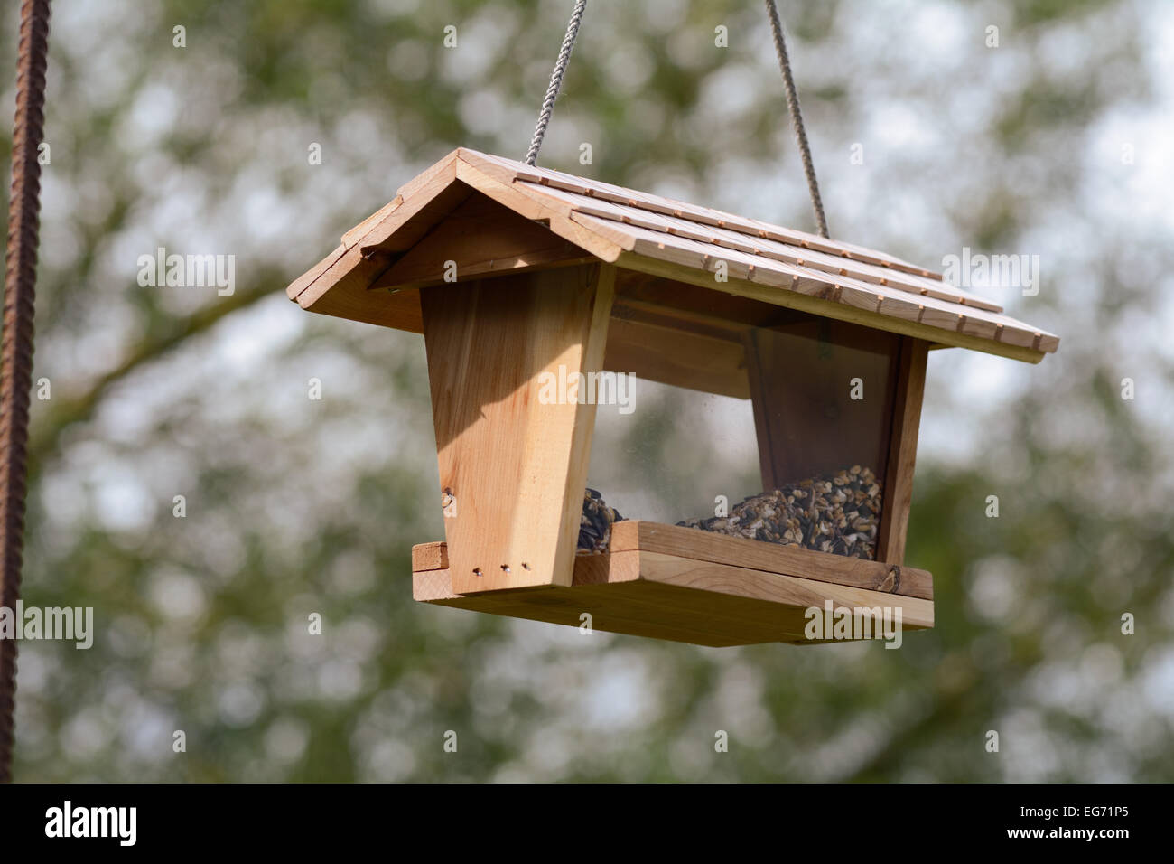 Comedero colgante para pájaros fotografías e imágenes de alta resolución -  Alamy