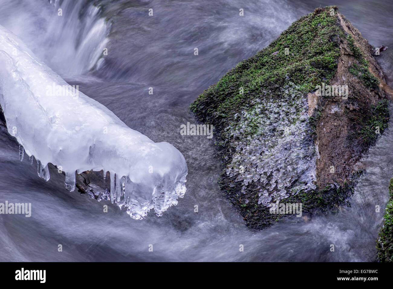 Carámbanos en una rama y mossy boulder en agua fluyendo invierno Foto de stock