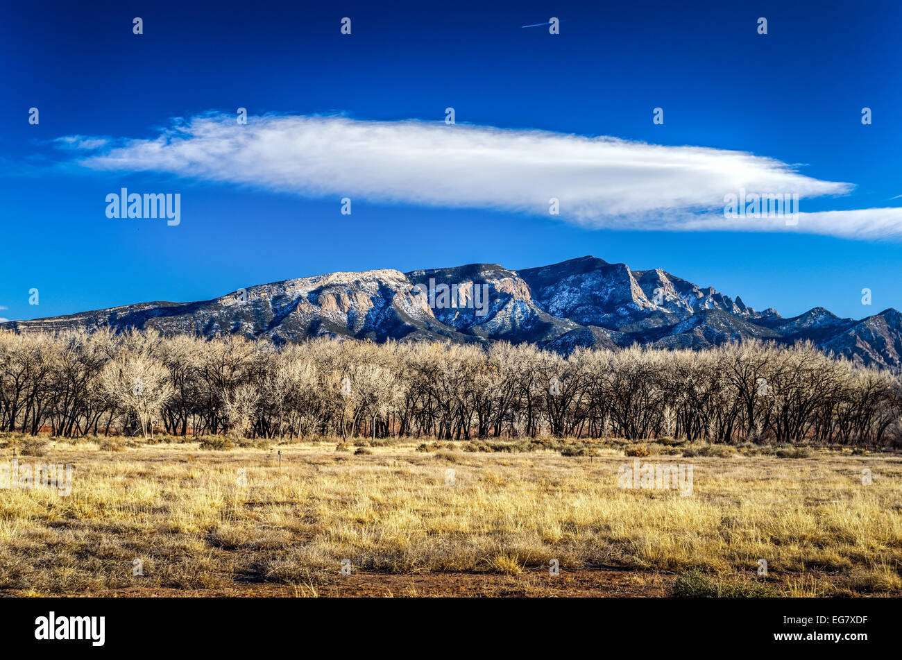 Vista de las Montañas Sandia y línea de árboles fuera de Albuquerque, Nuevo México, EE.UU. Foto de stock