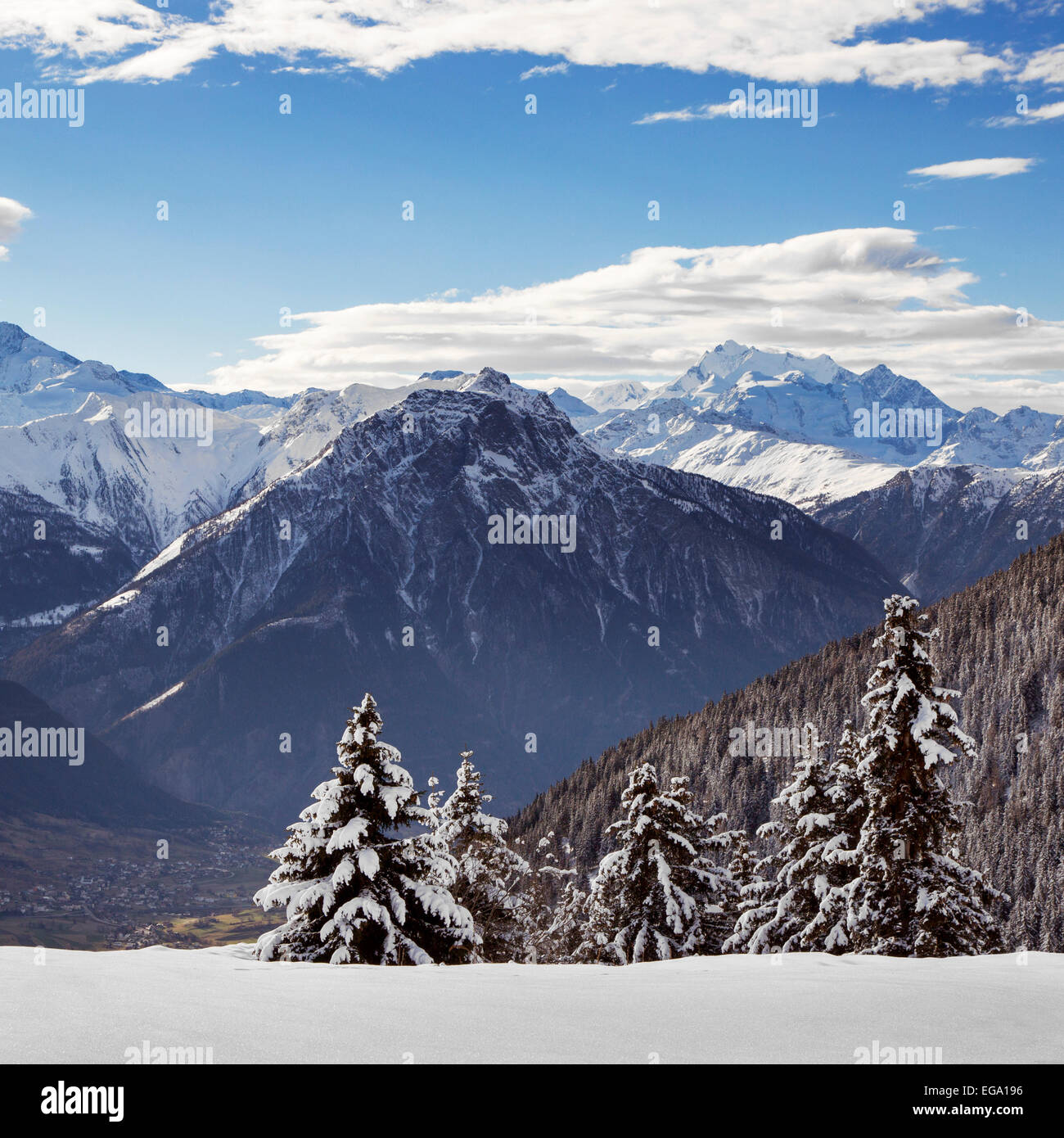 Abetos cubiertos de nieve y montañas alpinas en invierno en los Alpes Suizos en Wallis / Valais, Suiza Foto de stock