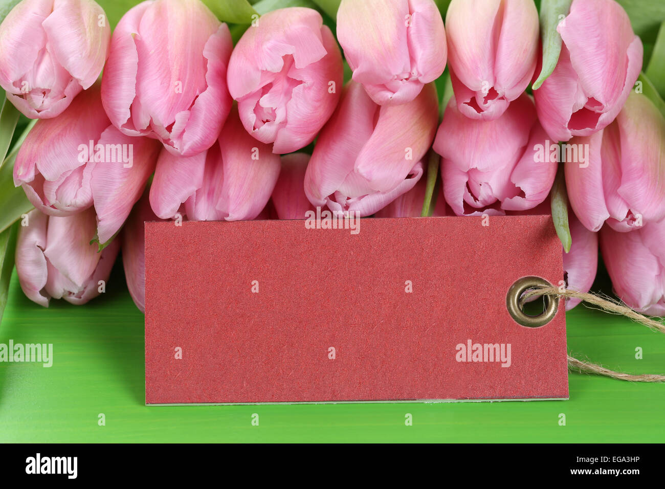 Tulipanes flores en la primavera, el cumpleaños o el día de la madre con la etiqueta vacía y copyspace para su propio texto Foto de stock