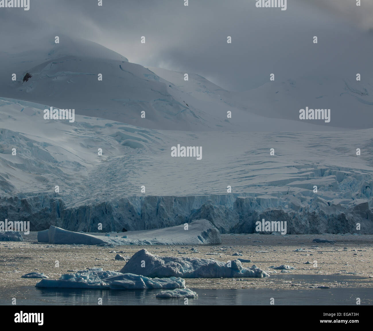 Los icebergs y la montaña, la cierva Cove, la Antártida Foto de stock
