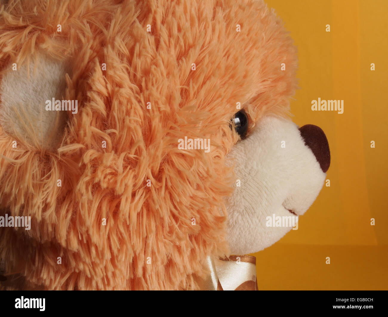 Un perfil de un peluche muy suave oso de peluche marrón claro Fotografía de  stock - Alamy