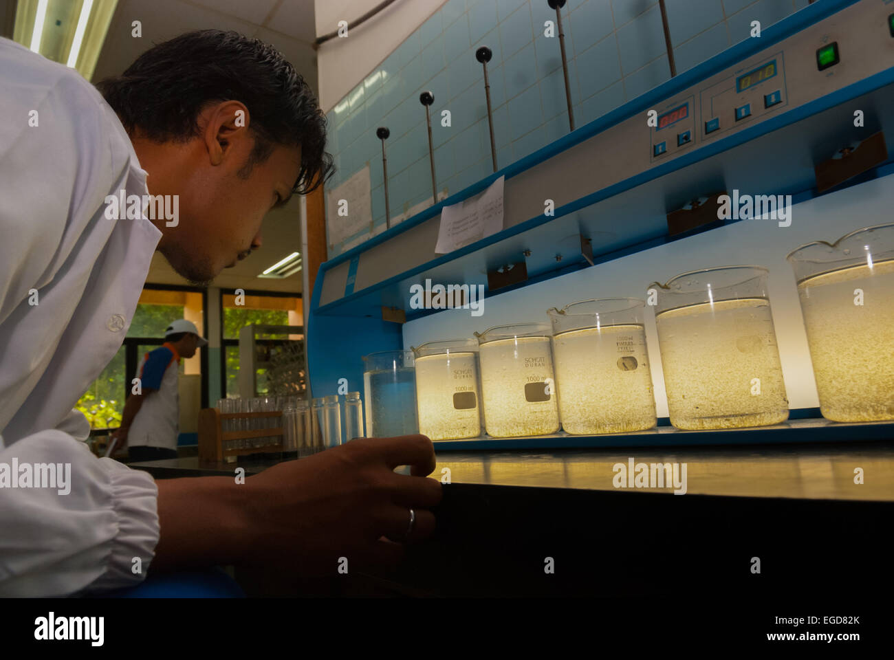 Un científico que trabaja en un laboratorio de pruebas de calidad del agua de origen operado por Aetra, uno de los proveedores de agua de Yakarta, en Yakarta Oriental, Indonesia. Foto de stock