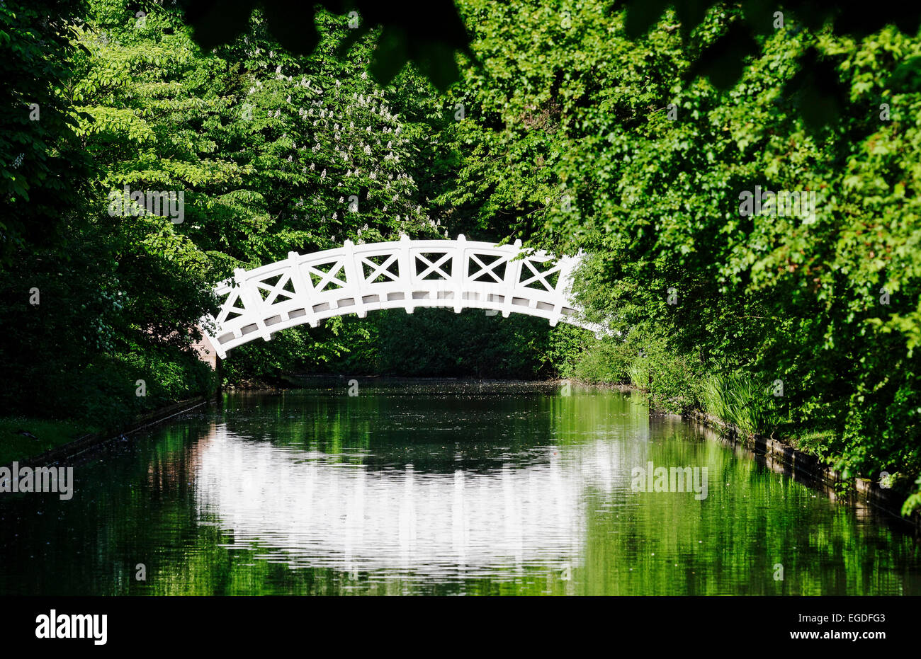 Puente chino, también llamado Palladio puente sobre un canal en los jardines del castillo de Schwetzingen, el puente fue diseñado por Andrea Palladio, Schwetzingen, Baden-Wurtemberg, Alemania Foto de stock