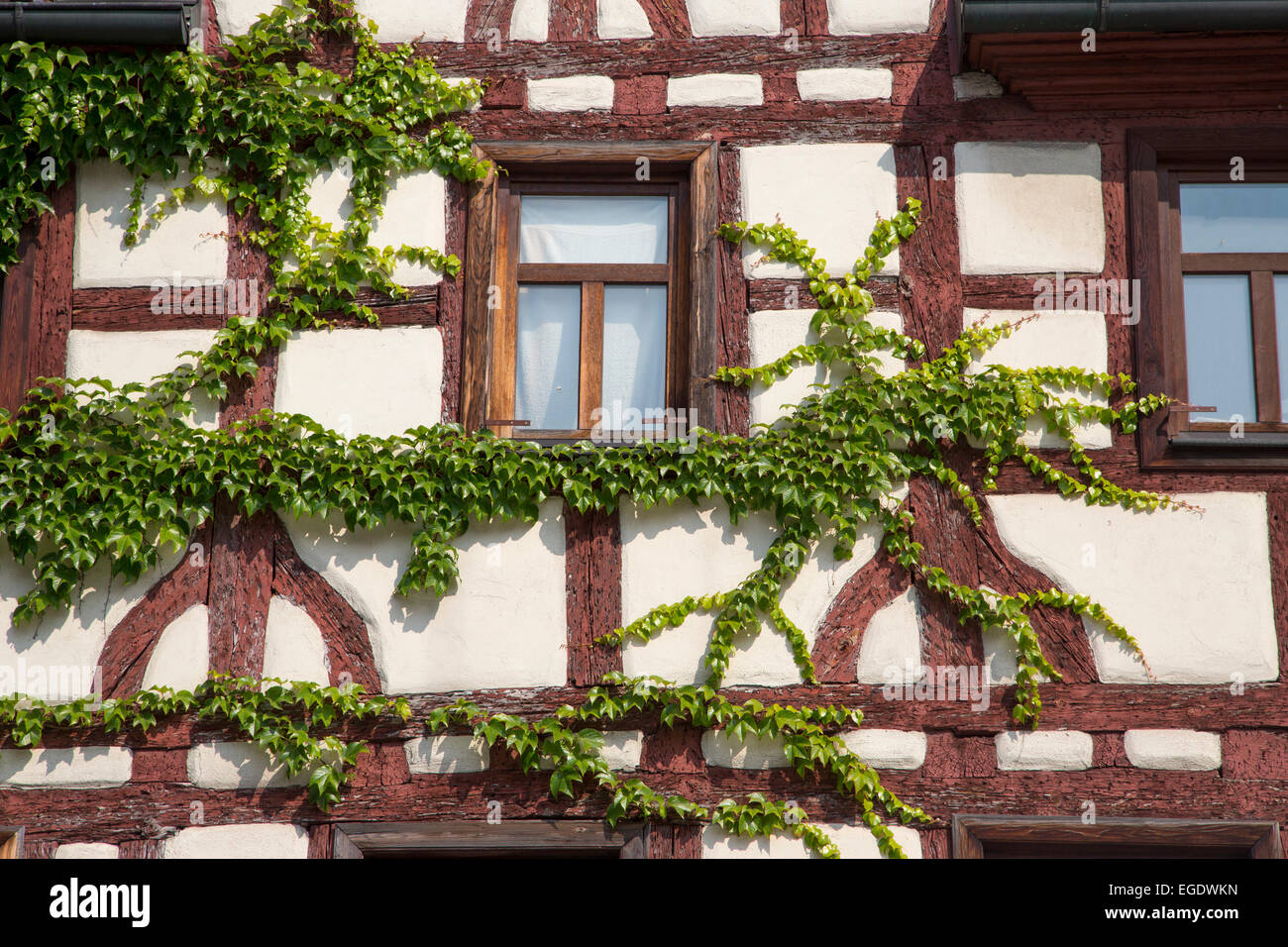 Casa de marcos de madera cubiertos de hiedra, Fürth, Franconia, Baviera, Alemania Foto de stock
