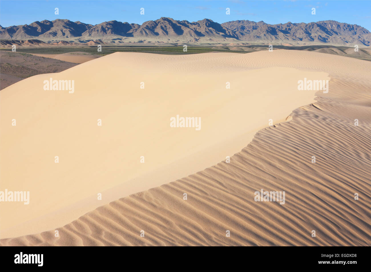 Khongoryn Els Omnogov, dunas de arena, el desierto de Gobi, Mongolia Foto de stock