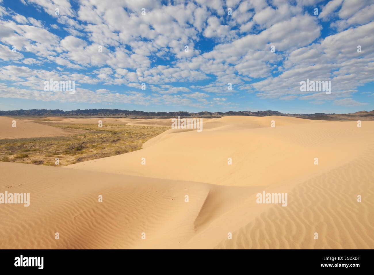 Khongoryn Els Omnogov, dunas de arena, el desierto de Gobi, Mongolia Foto de stock