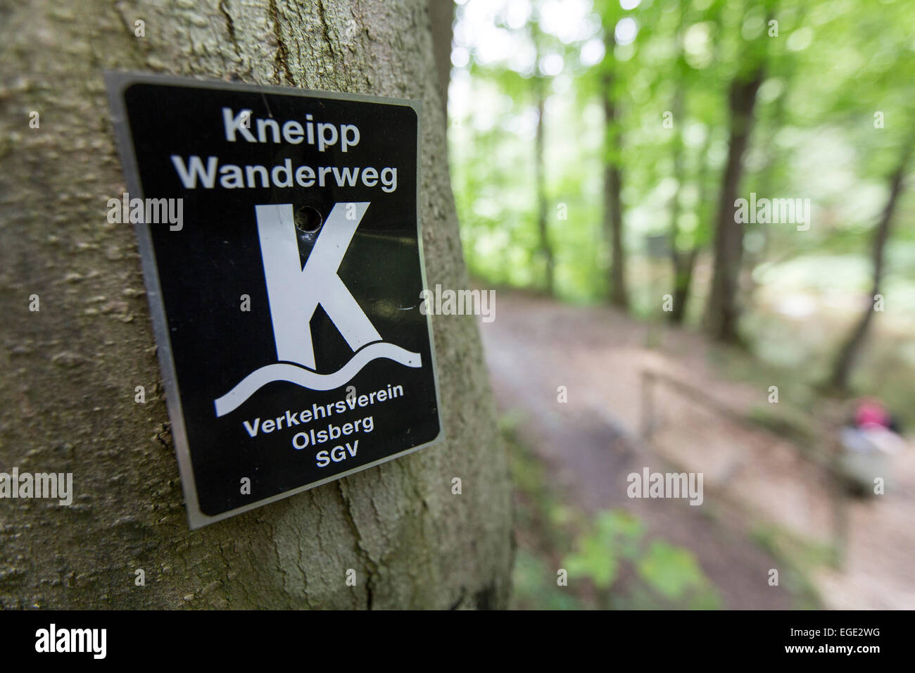 Cura Kneipp, hidroterapia en el río Ruhr, un tema ruta de senderismo en la región de Sauerland, Alemania Foto de stock