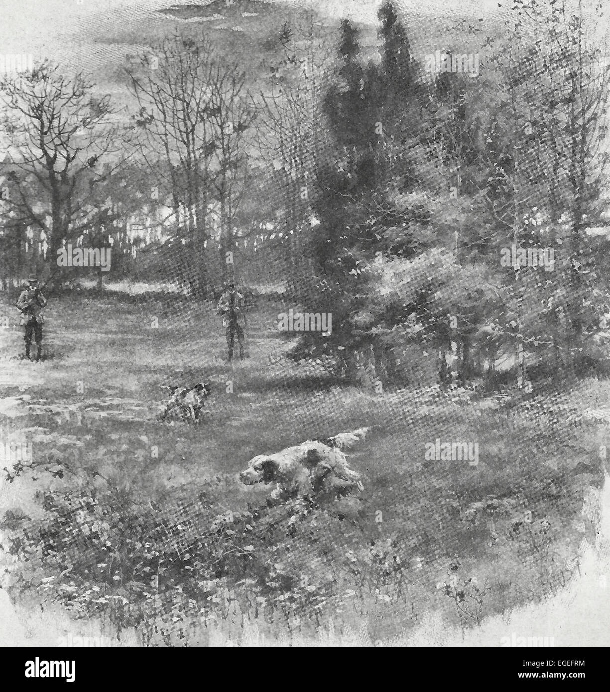 Él tiene em - venga arriba. Perros de Caza deshaciendose de las aves. Vintage caza, circa 1916 Foto de stock