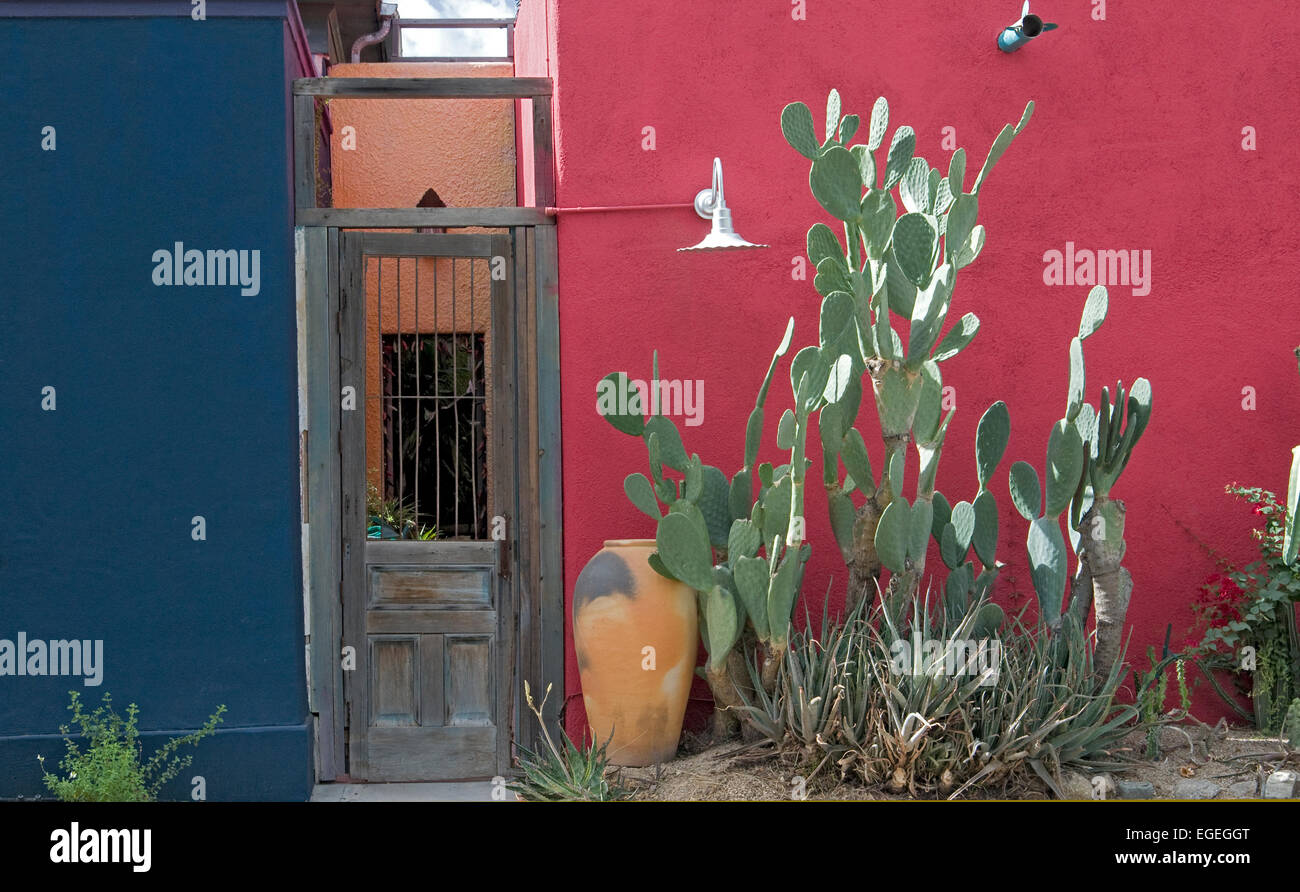 Puerta de Tucson con cactus Foto de stock