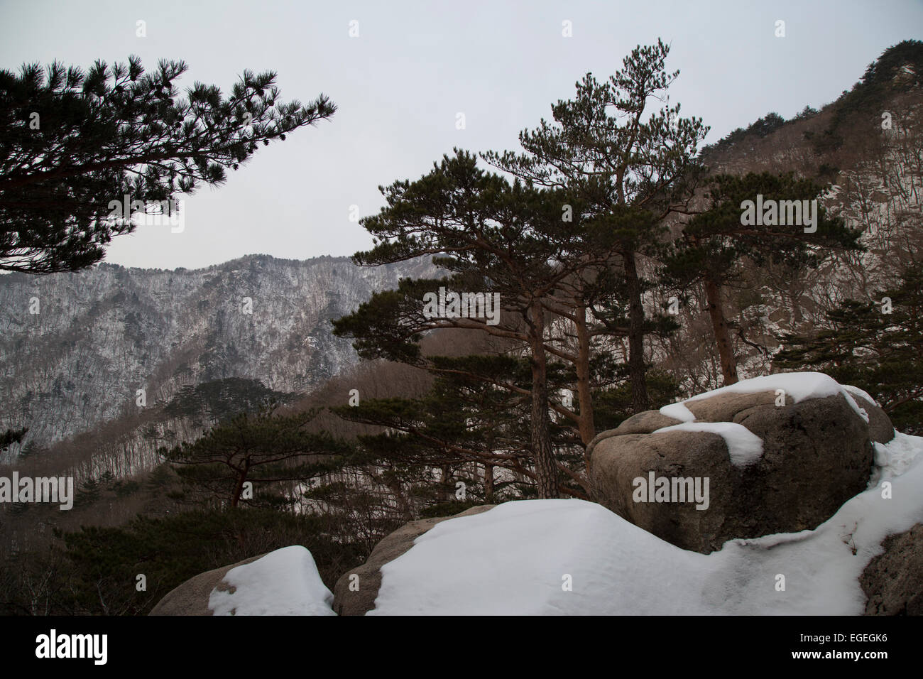 El Parque Nacional de Seoraksan en invierno. Caminando a Roca Ulsanbawi. Sokcho, Corea del Sur. Montañas cubiertas de nieve. Foto de stock
