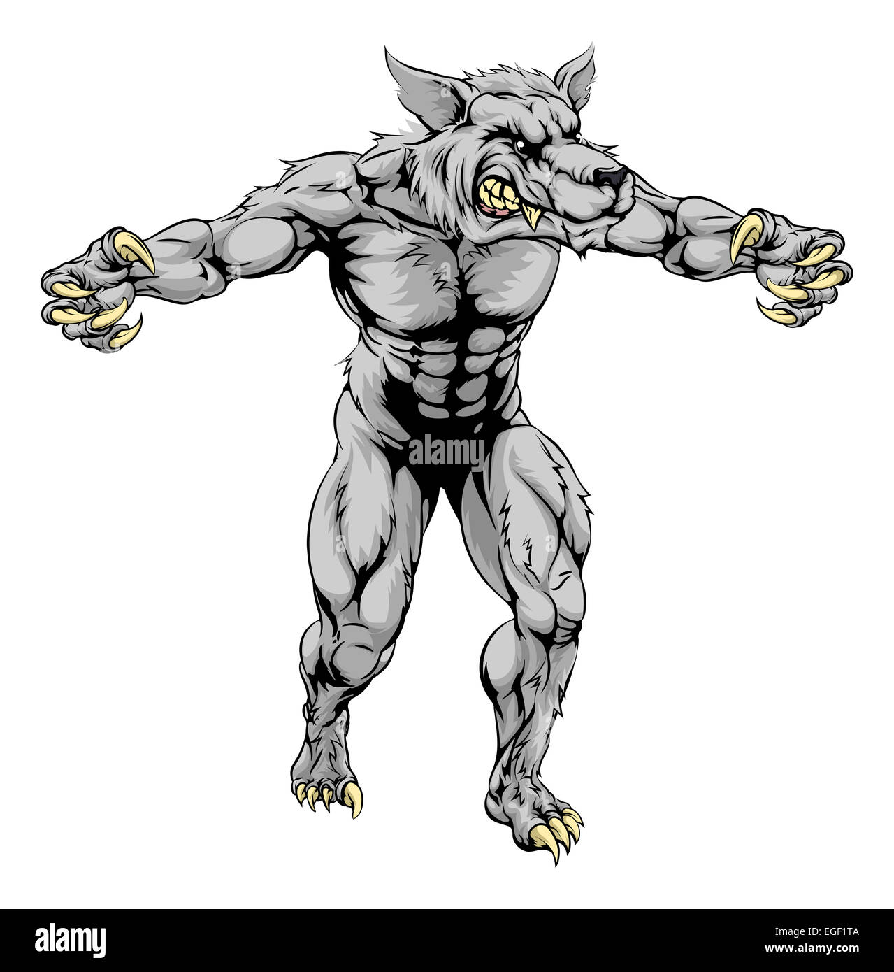 Una ilustración de un hombre lobo lobo scary mascota deportiva con garras  fuera Fotografía de stock - Alamy