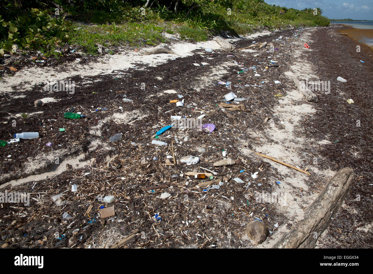 La contaminación de desechos de plástico en la playa cerca de Mahahual, Quintana Roo, México. Foto de stock
