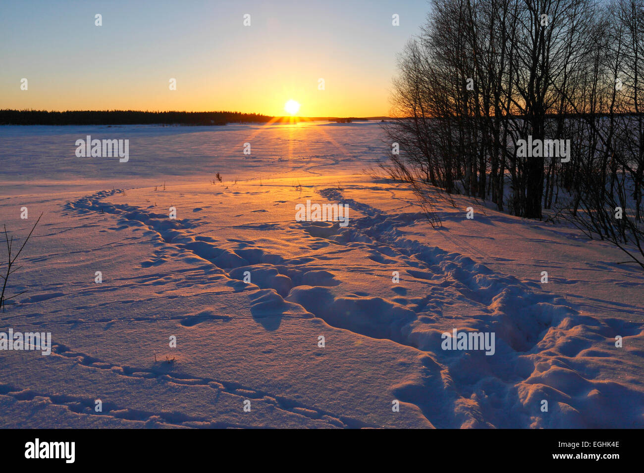 Puesta de sol de invierno, la naturaleza del paisaje. Finlandia Laponia. Foto de stock
