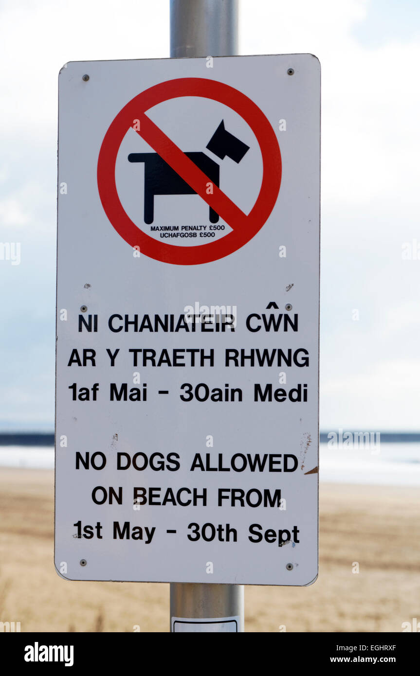 No se admiten perros en la playa firmar en inglés y galés, Bahía de Swansea, al sur de Gales, Reino Unido. Foto de stock