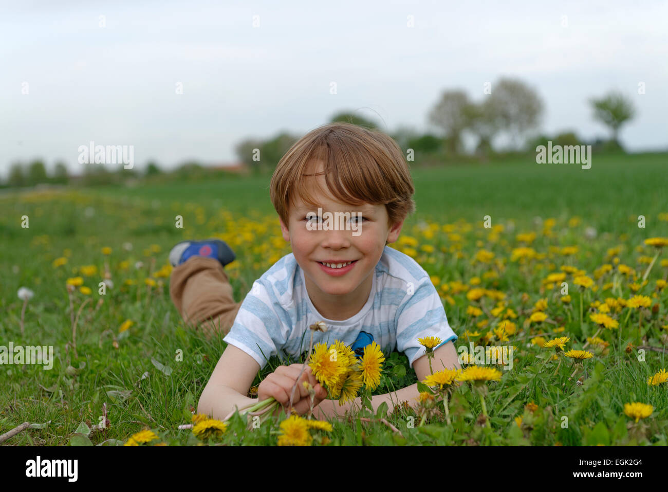 Niño acostado en un prado de diente de león, el muelle, Munich, la Alta Baviera, Baviera, Alemania Foto de stock